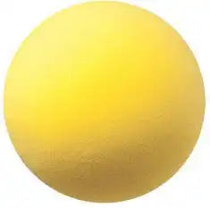 Champion Sports Rd Uncoated Regular Density Foam Ball - Ea
