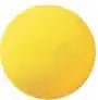 Champion Sports Rd Uncoated Regular Density Foam Ball - Ea