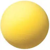 Champion Sports Rd Uncoated Regular Density Foam Ball - Ea