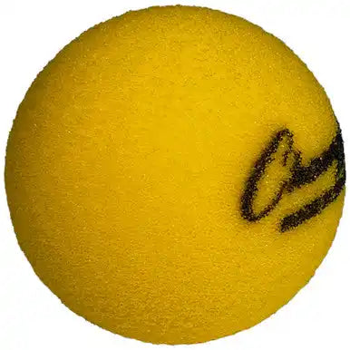 Champion Sports Rs-ball High-bounce Uncoated Foam Ball - Ea