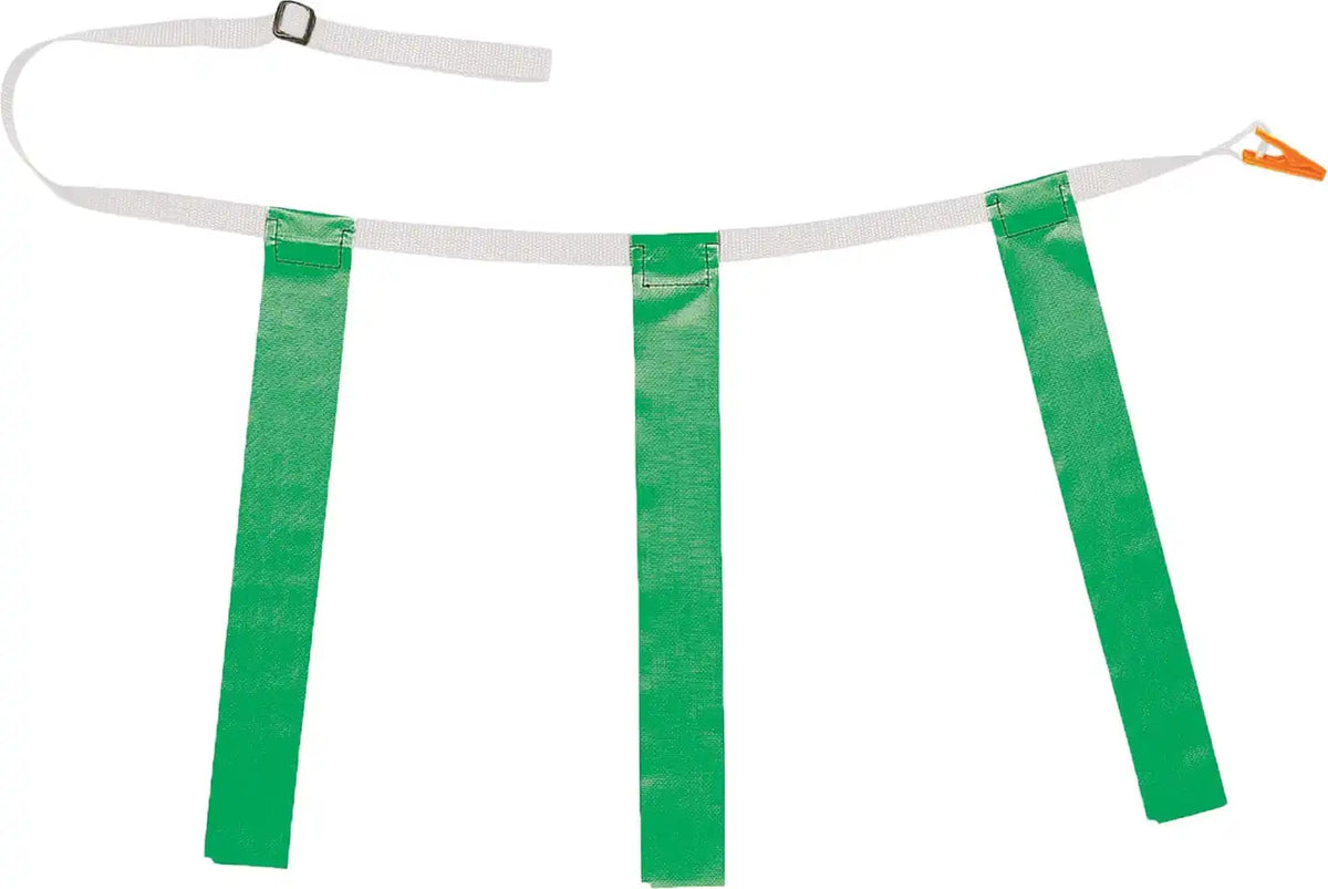 Champion Sports Tffy Triple Flag Football Youth - Doz - Green