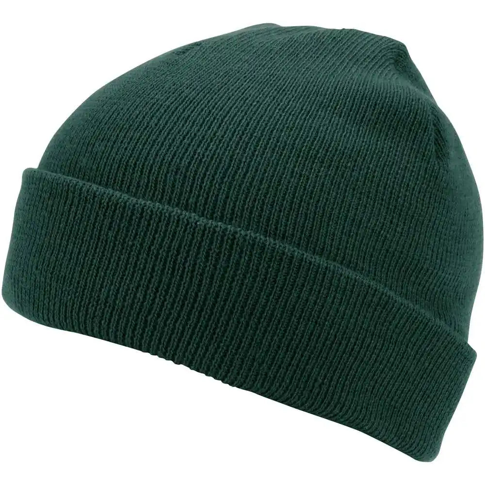 Champro Hbe1 Polar Cuff Beanie - Forest Green - one Size Fits Most