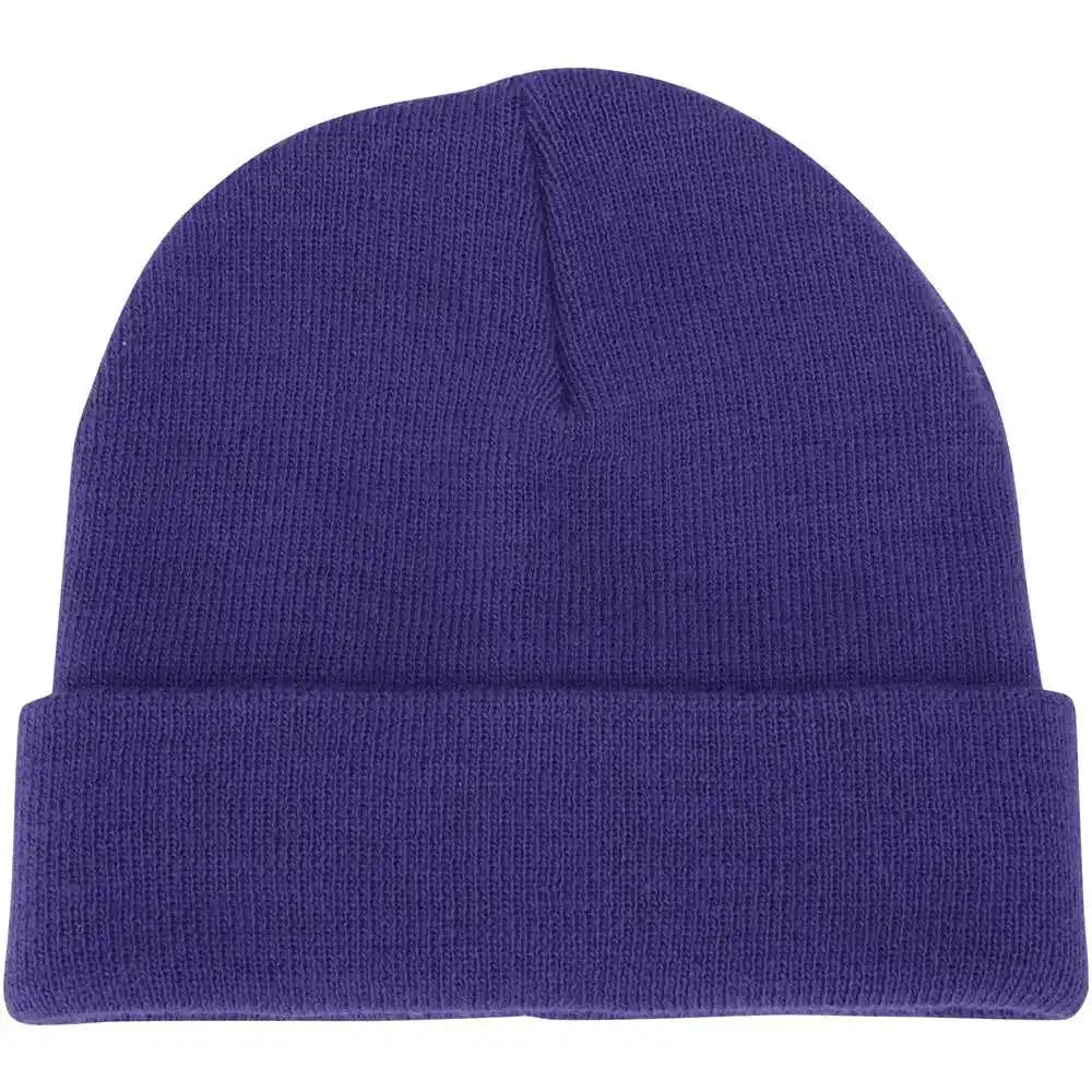 Champro Hbe1 Polar Cuff Beanie - Purple - one Size Fits Most