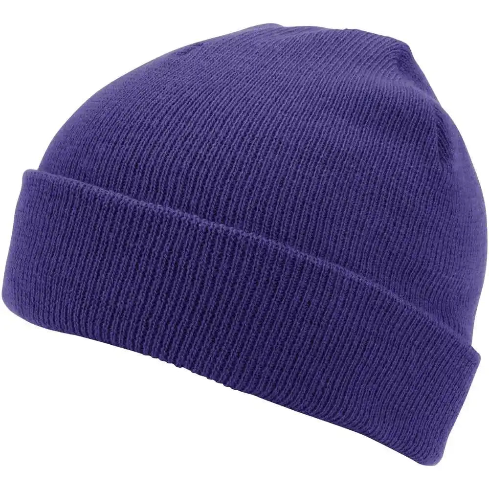 Champro Hbe1 Polar Cuff Beanie - Purple - one Size Fits Most