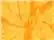 Colortone 1000y Youth Multi-color Tie-dyed T-shirt - Spider Gold - Xs