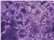 Crystal Purple Youth Crystal Wash T-Shirt - 1390Y  grouped