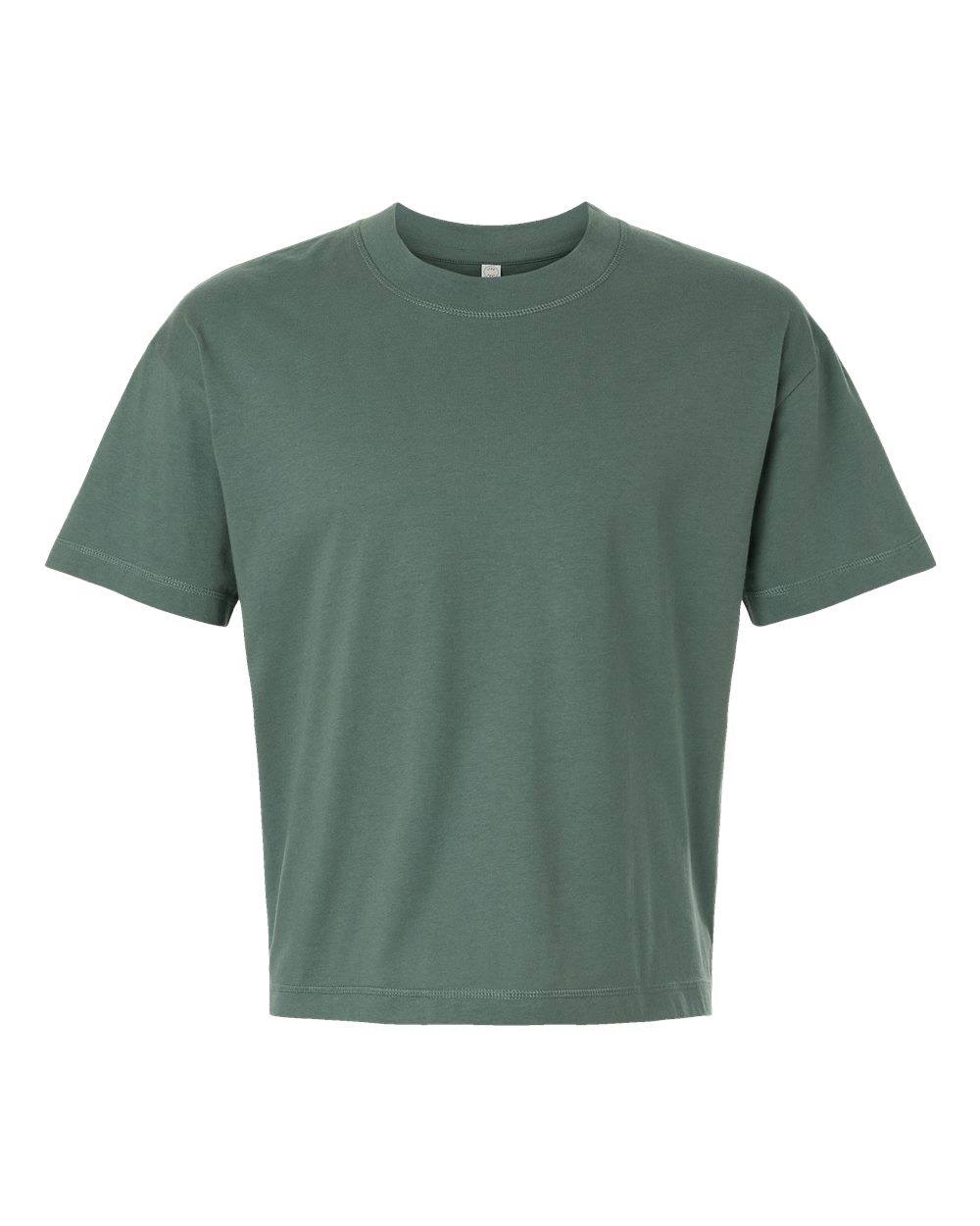 Front View of Basil Relaxed Crew Tee - 3520