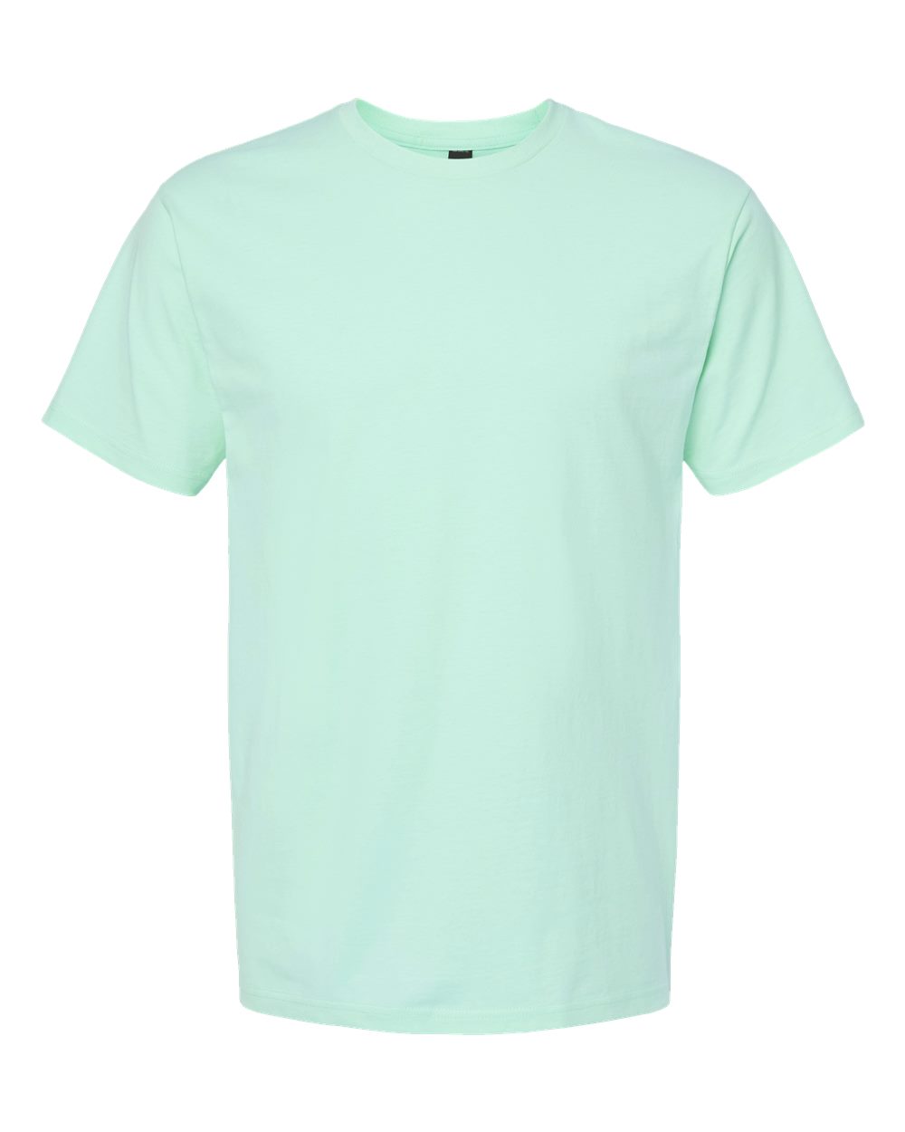 Front View of Light Mint Heavyweight Jersey T-Shirt - 290