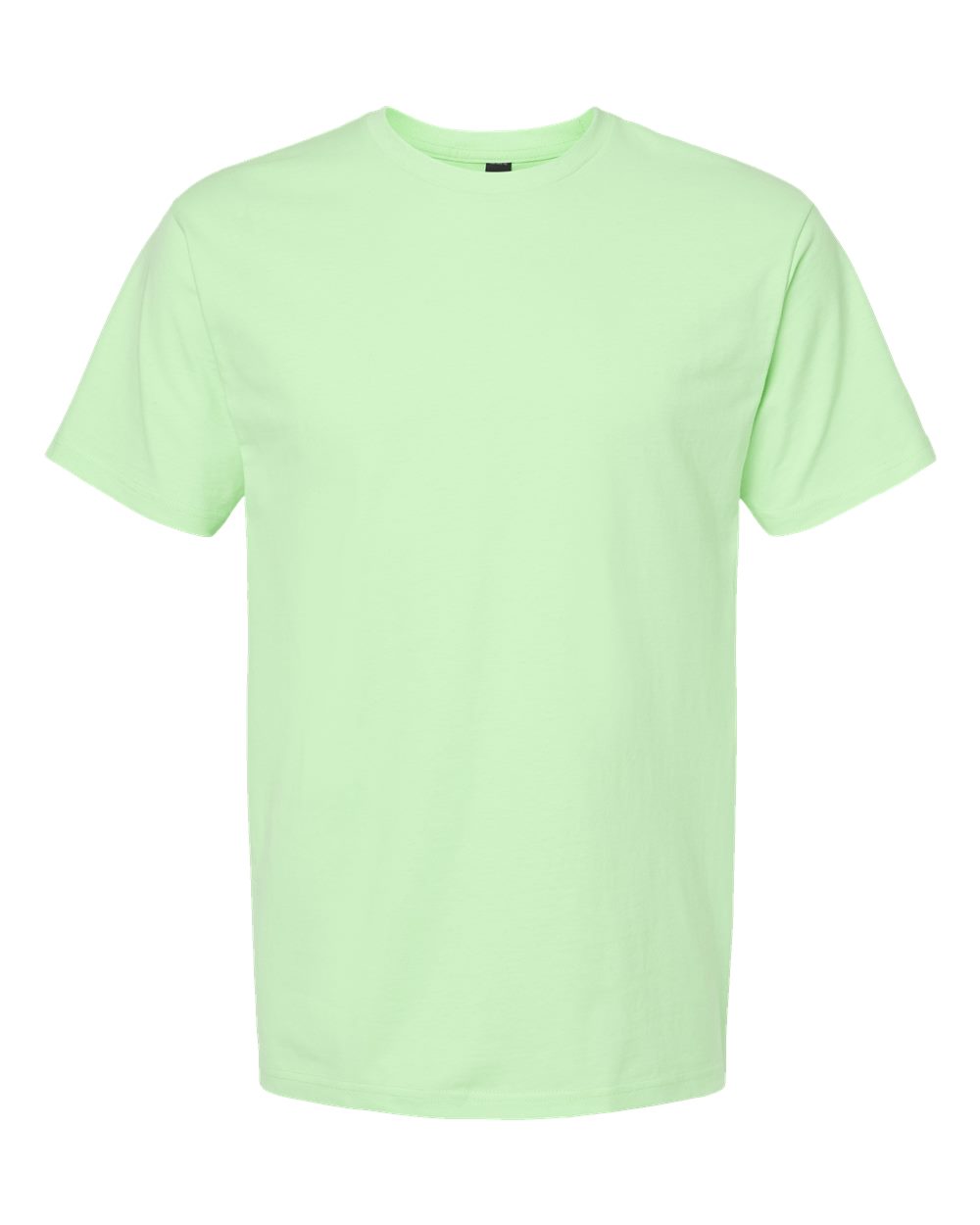 Front View of Neo Mint Heavyweight Jersey T-Shirt - 290