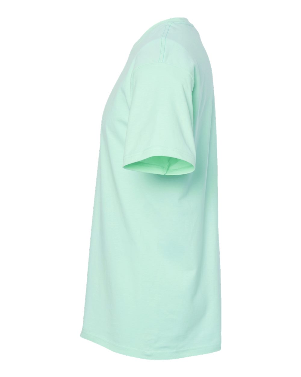 Left View of Light Mint Heavyweight Jersey T-Shirt - 290