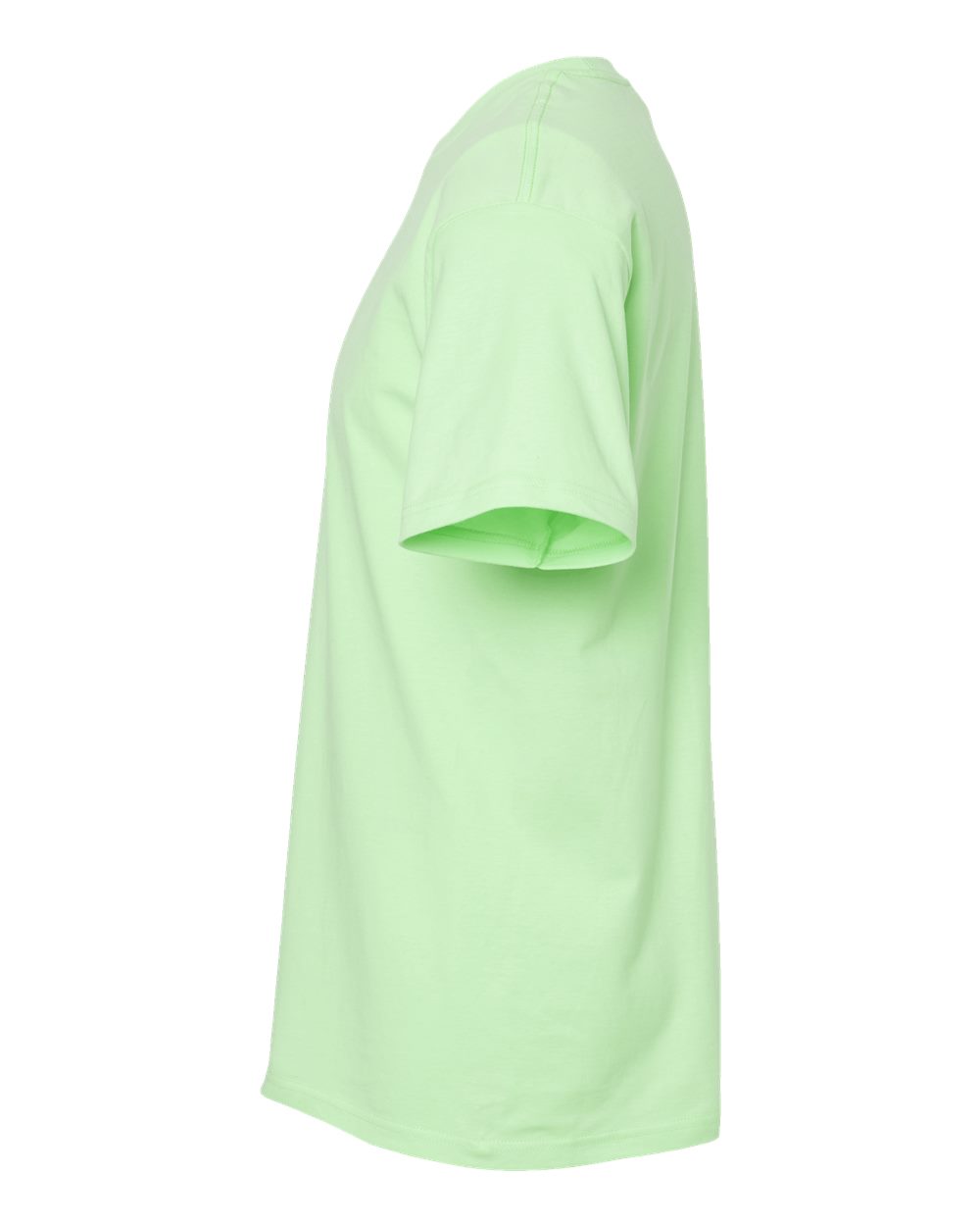 Left View of Neo Mint Heavyweight Jersey T-Shirt - 290