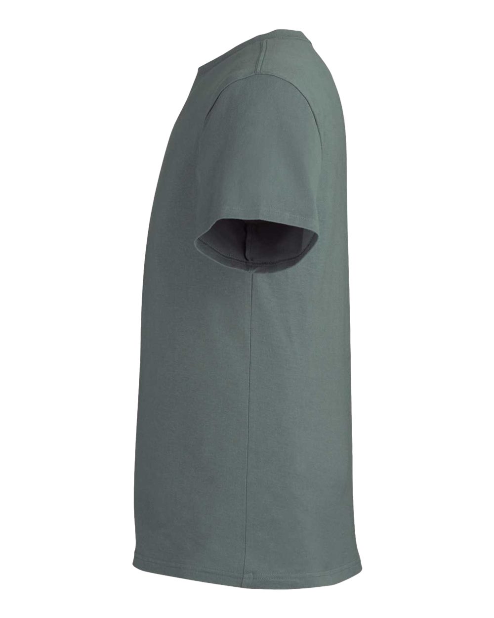 Left View of Sage Leaf Reclaimist Vibes T-Shirt - EC1070