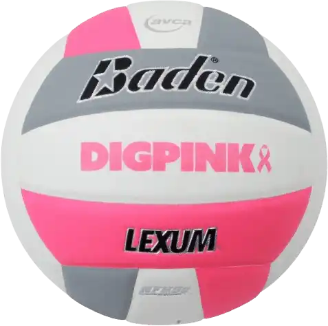 Lexum Dig Pink Microfiber Volleyball