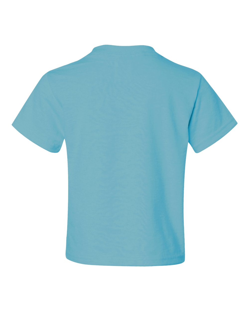 Rear View of Aquatic Blue Dri-Power® Youth 50/50 T-Shirt - 29BR