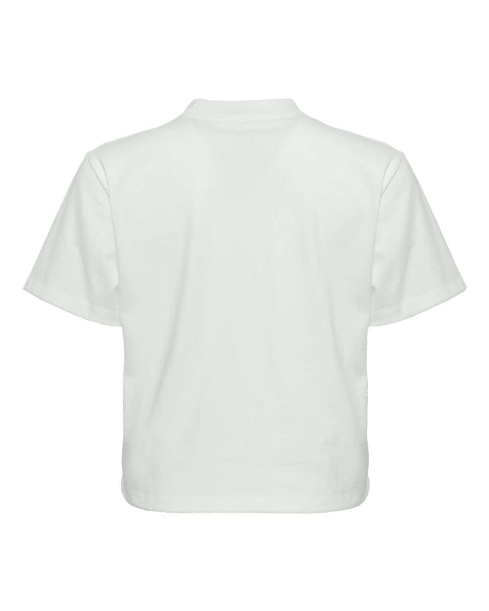 Rear View of Bone Women's Heavyweight Boxy T-Shirt - 7610