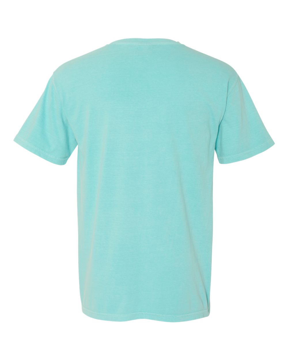Rear View of Chalky Mint Garment-Dyed Heavyweight T-Shirt - 1717