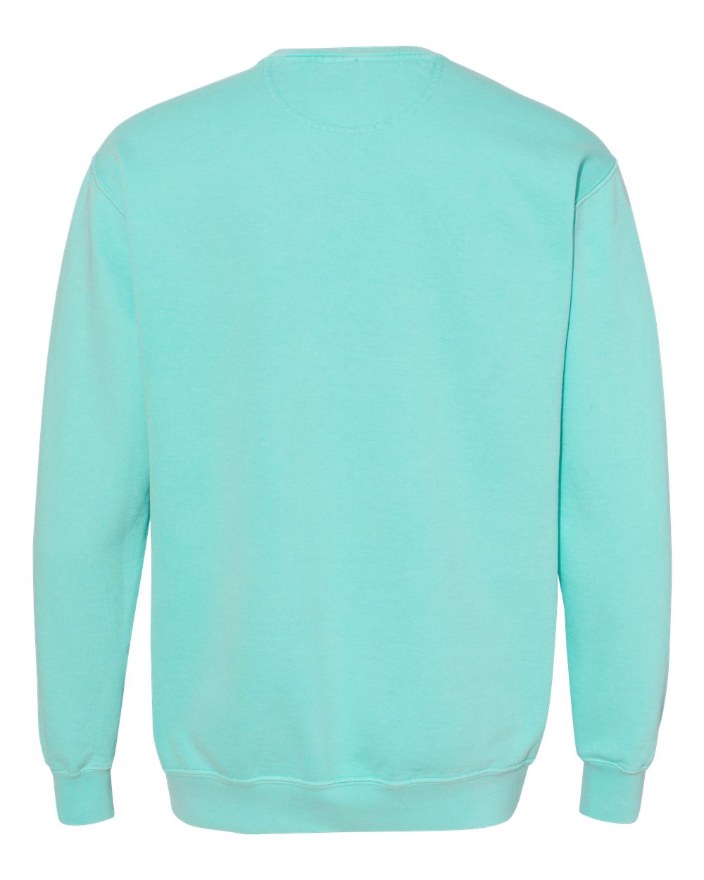 Rear View of Chalky Mint Garment-Dyed Sweatshirt - 1566