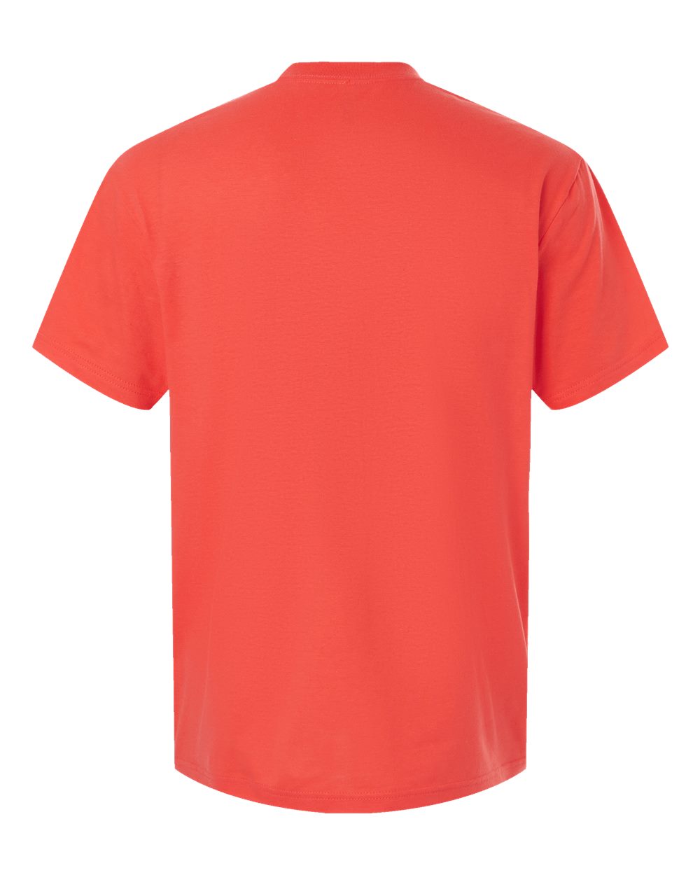 Rear View of Coral Fine Jersey Tee - 2001