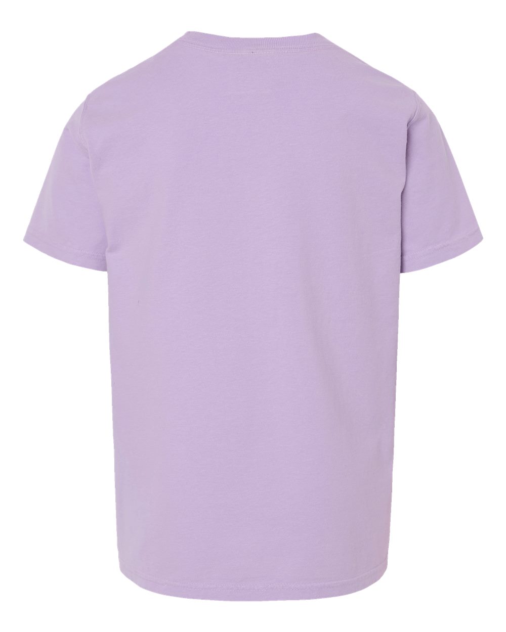 Rear View of Future Lavender Garment-Dyed Youth T-Shirt - GDH175