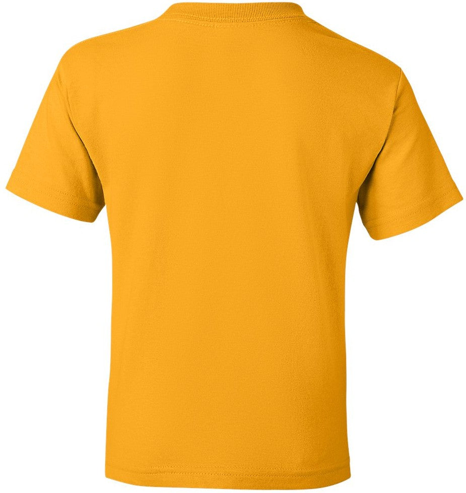 Rear View of Gold DryBlend® Youth T-Shirt - 8000B