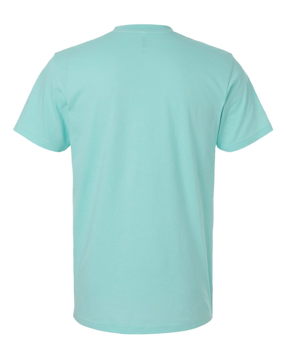 Rear View of Heather Celadon CVC Tee - 2001CVC