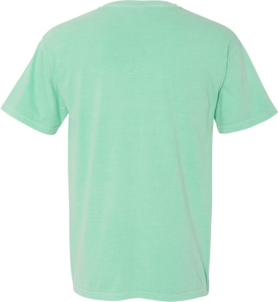Rear View of Island Reef Garment-Dyed Heavyweight T-Shirt - 1717