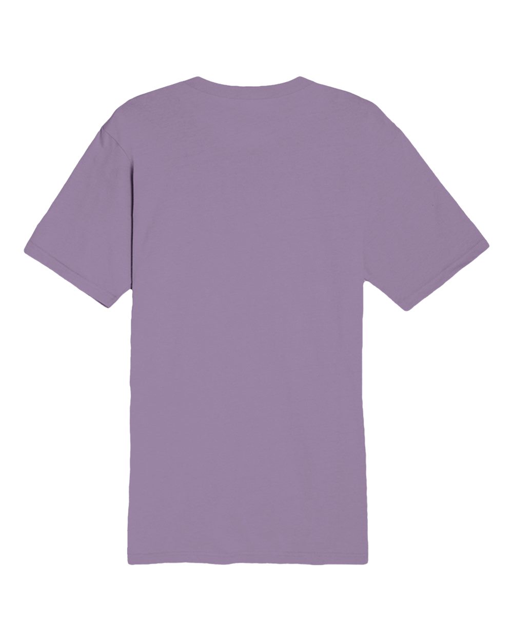 Rear View of Lavender Heavyweight T-Shirt - LS15001