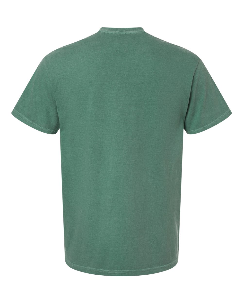 Rear View of Light Green Garment-Dyed Heavyweight T-Shirt - 1717