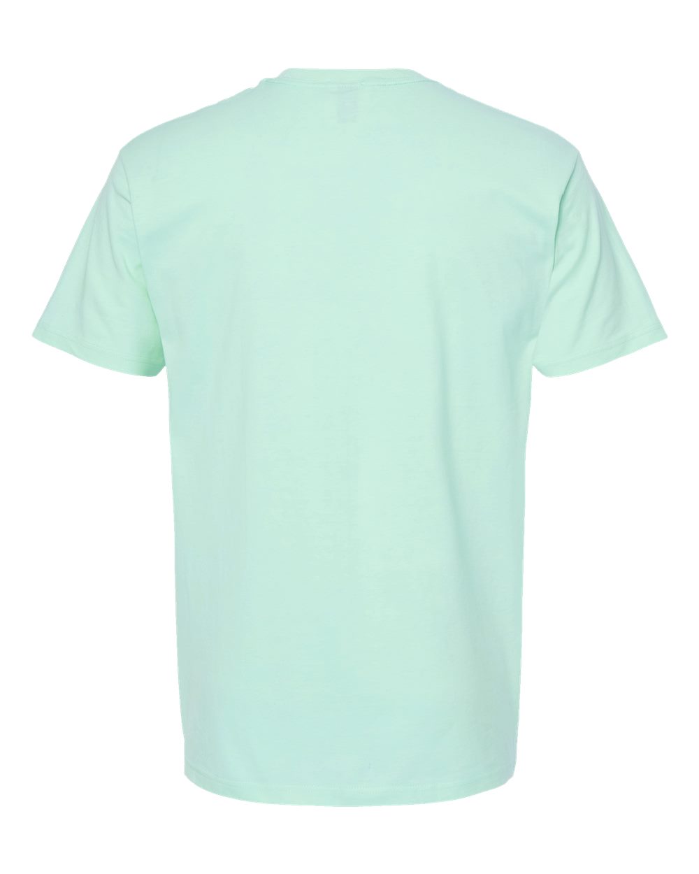 Rear View of Light Mint Heavyweight Jersey T-Shirt - 290