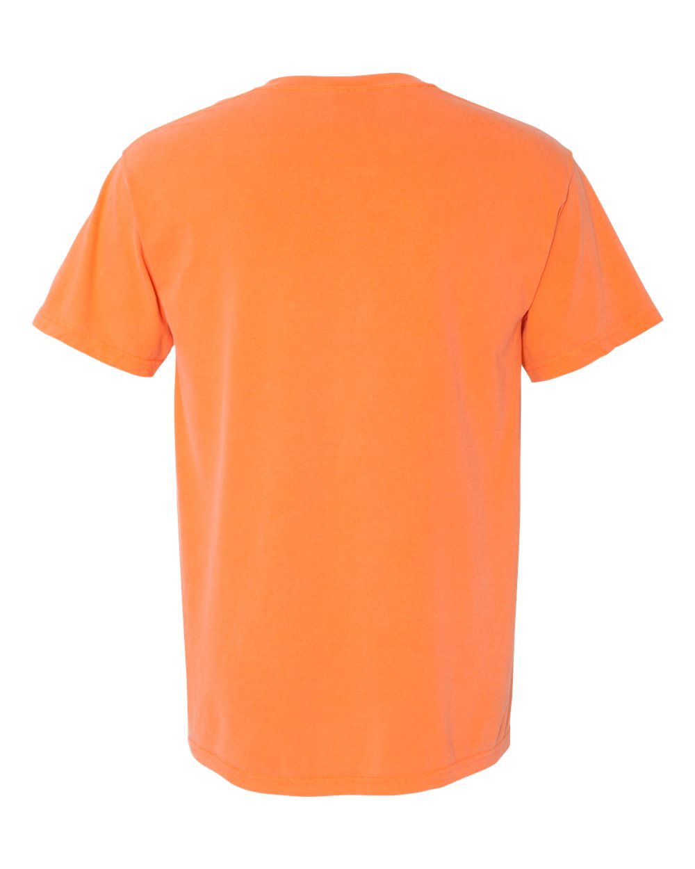 Rear View of Melon Garment-Dyed Heavyweight T-Shirt - 1717
