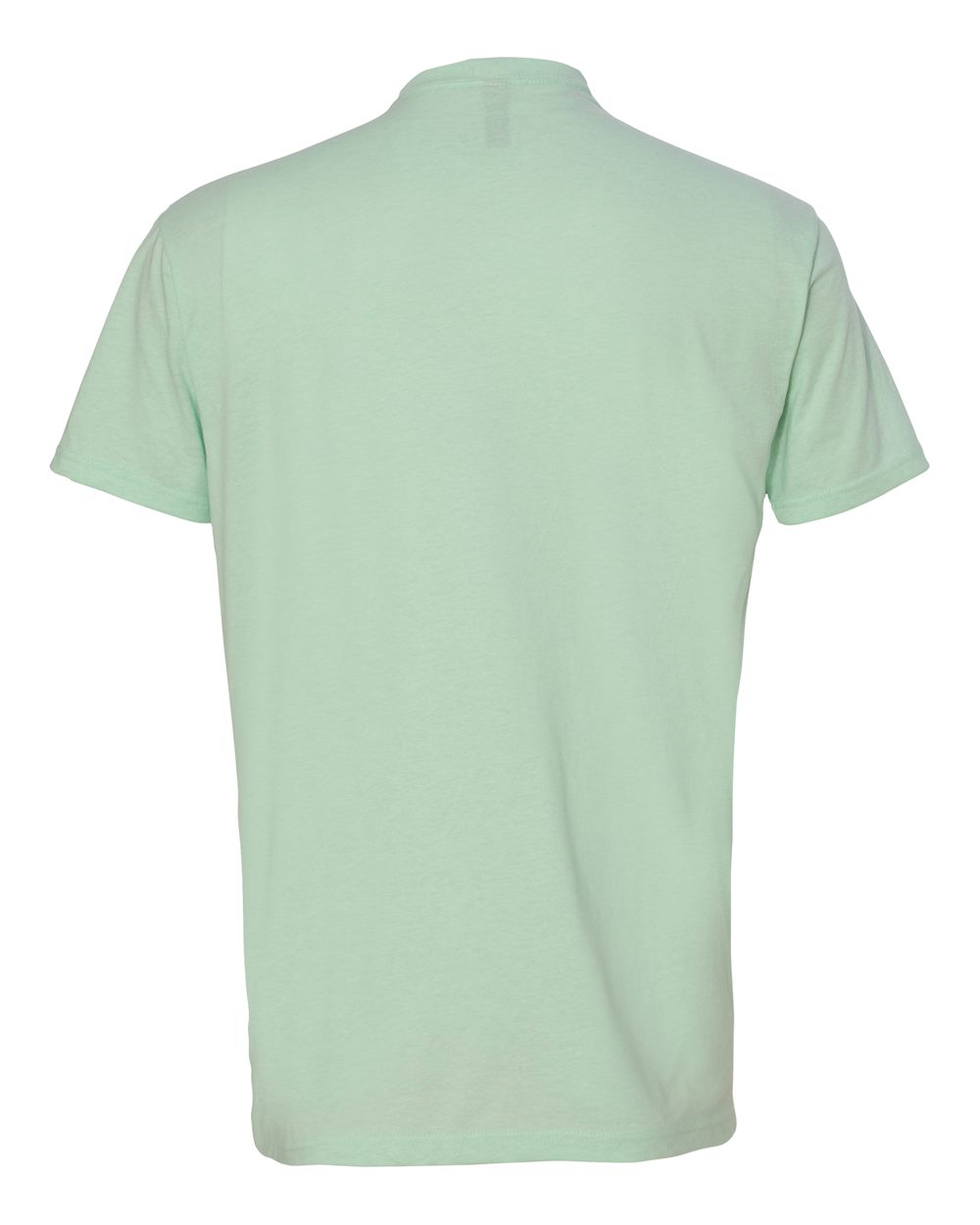 Rear View of Mint CVC T-Shirt - 6210