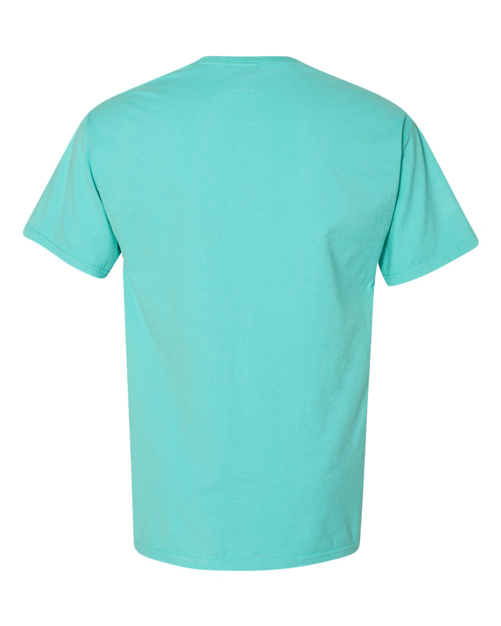Rear View of Mint Garment-Dyed T-Shirt - GDH100
