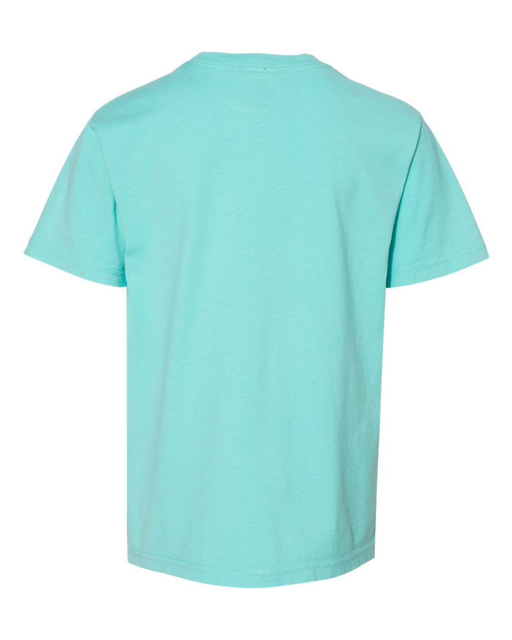 Rear View of Mint Garment-Dyed Youth T-Shirt - GDH175