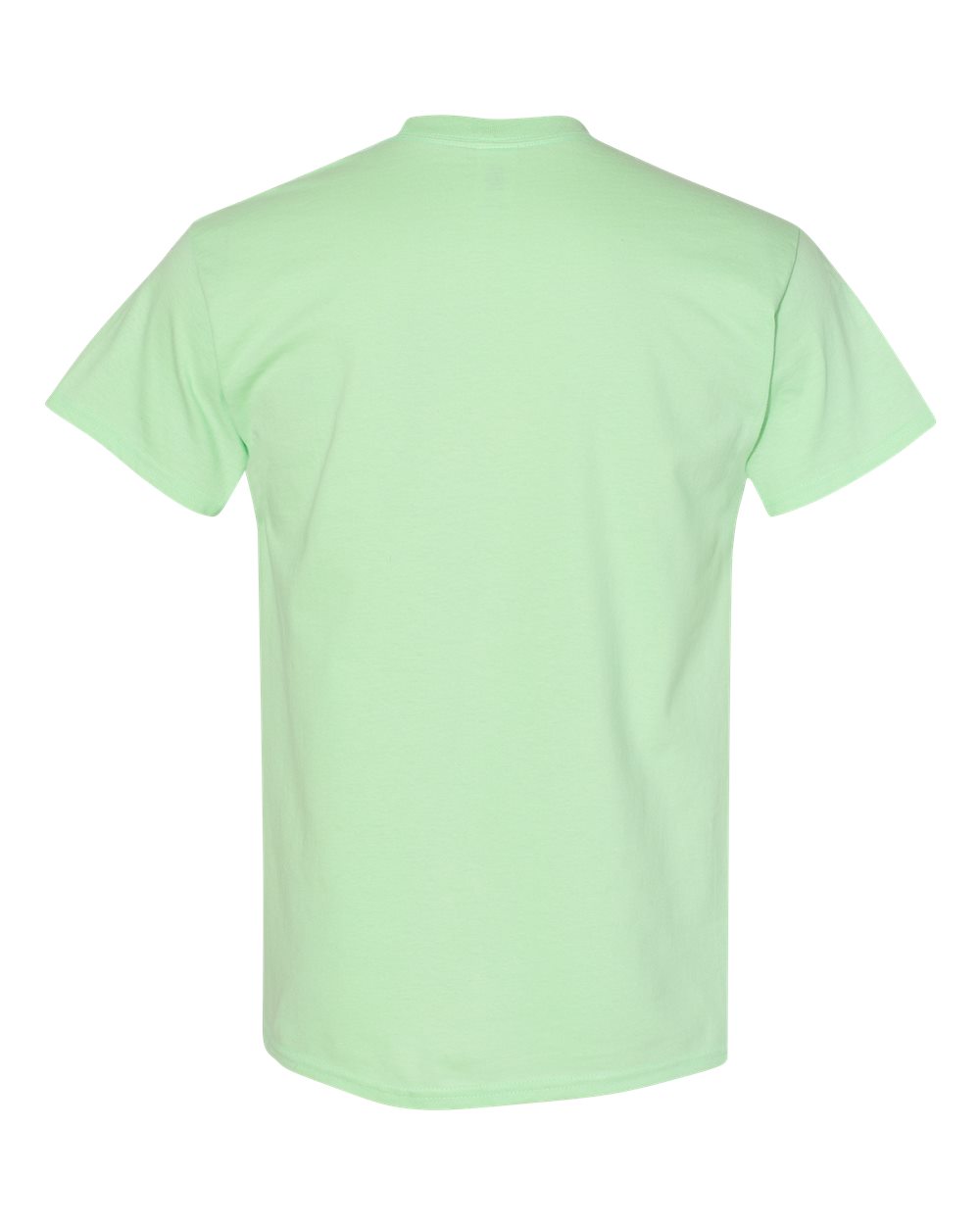 Rear View of Mint Green Heavy Cotton™ T-Shirt - 5000