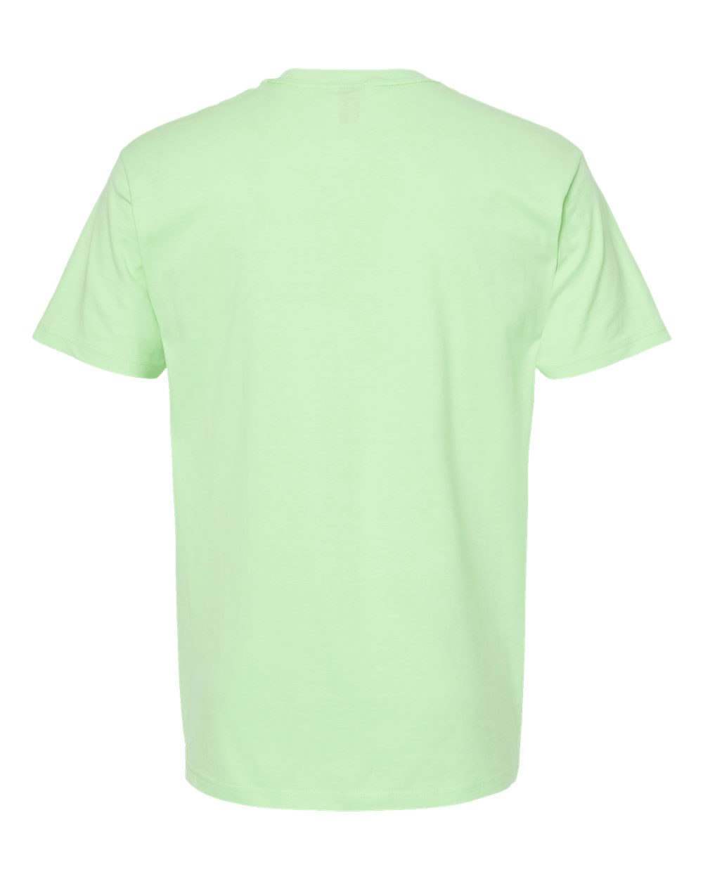 Rear View of Neo Mint Heavyweight Jersey T-Shirt - 290