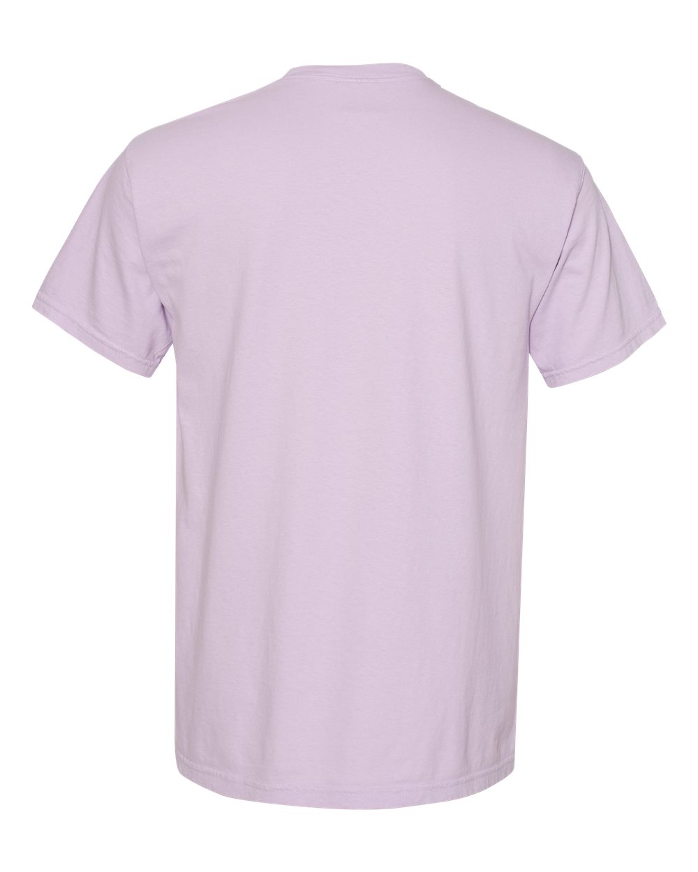 Rear View of Orchid Garment-Dyed Heavyweight T-Shirt - 1717