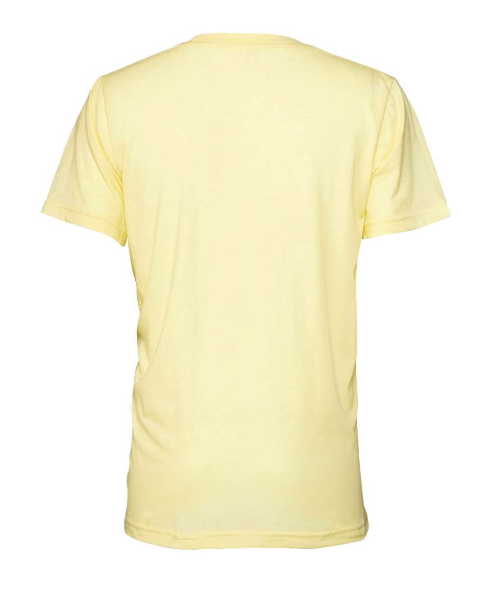 Rear View of Pale Yellow Triblend Triblend Tee - 3413