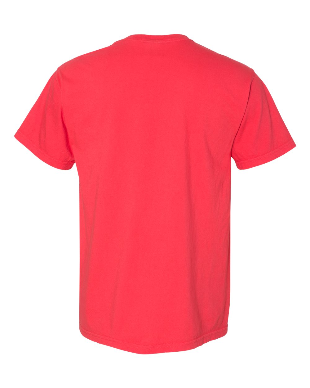 Rear View of Paprika Garment-Dyed Heavyweight T-Shirt - 1717