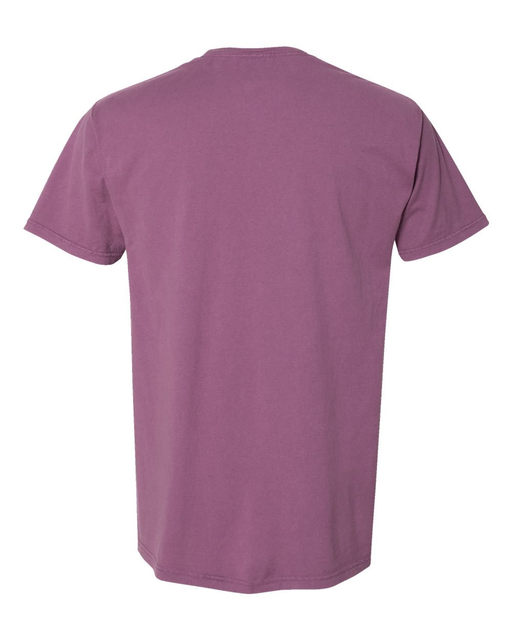 Rear View of Purple Plum Raisin Garment-Dyed T-Shirt - GDH100