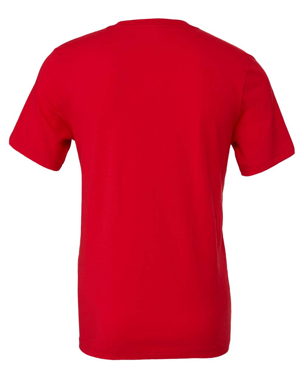 Rear View of Red Jersey Tee - 3001