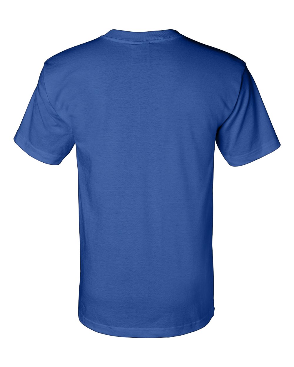 Rear View of Royal Blue Union-Made T-Shirt - 2905