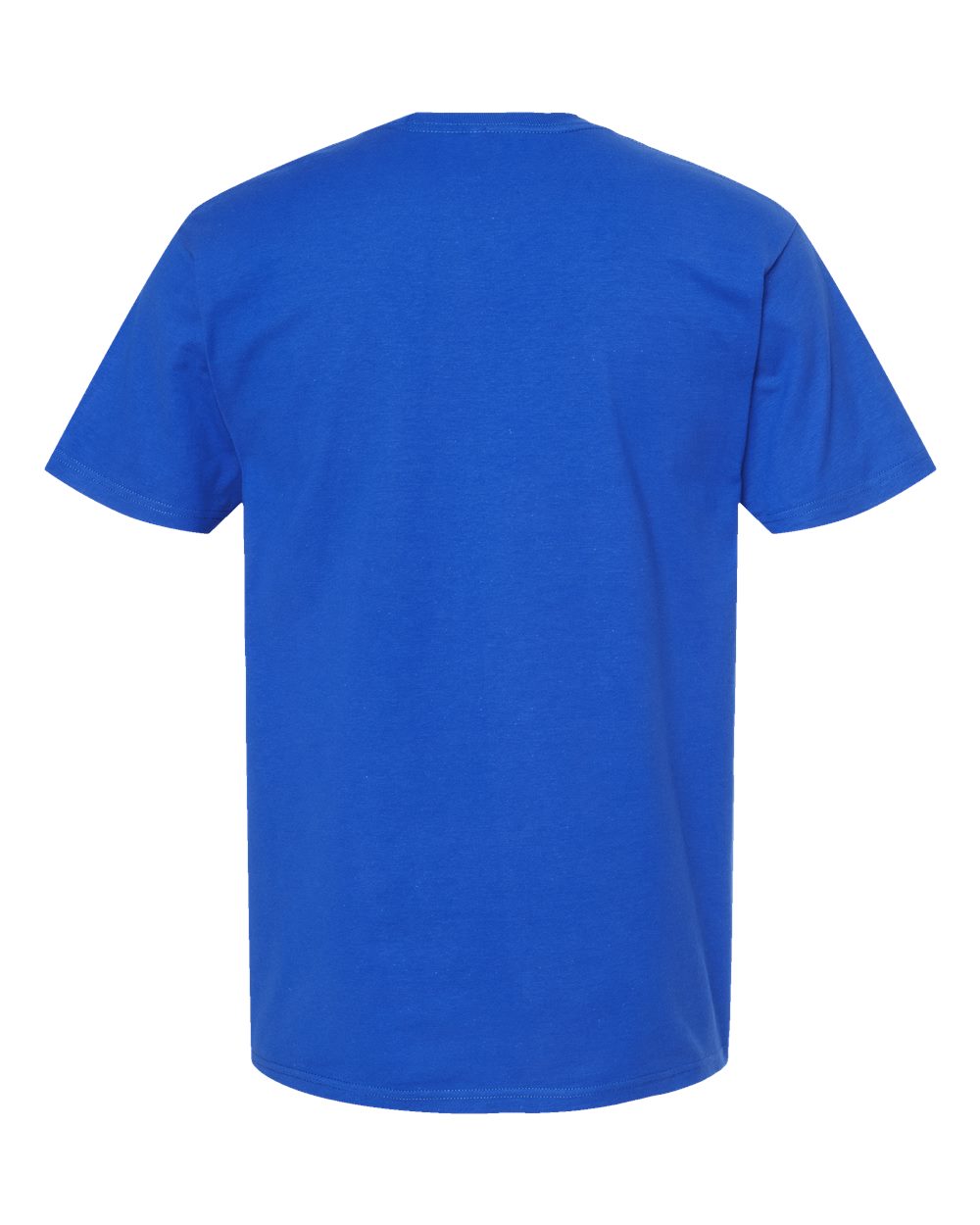 Rear View of Royal Heavyweight Jersey T-Shirt - 290