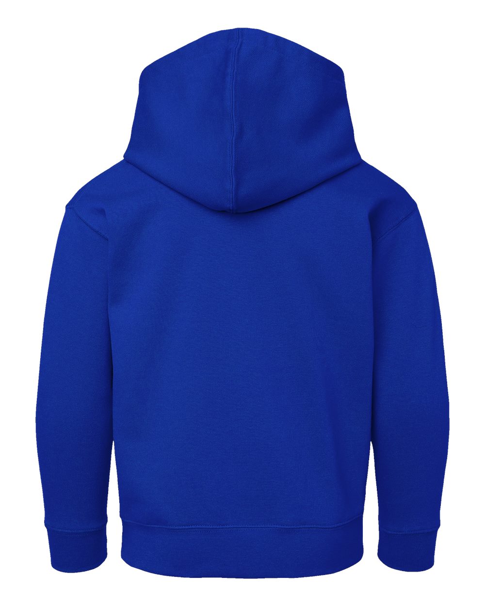 Rear View of Royal Youth Fleece Hoodie - 2296