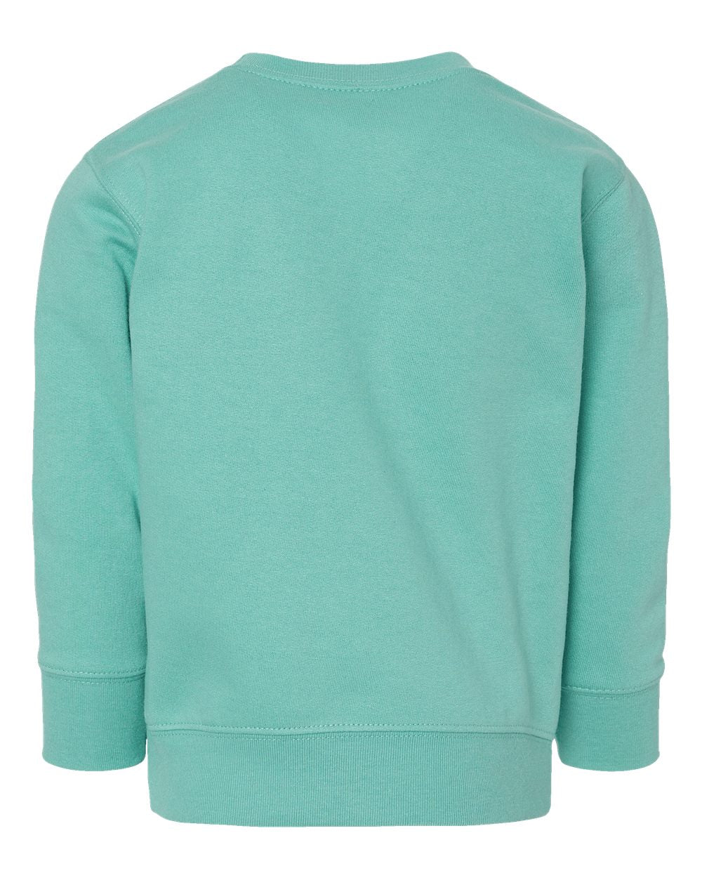 Rear View of Saltwater Toddler Fleece Crewneck Sweatshirt - 3317