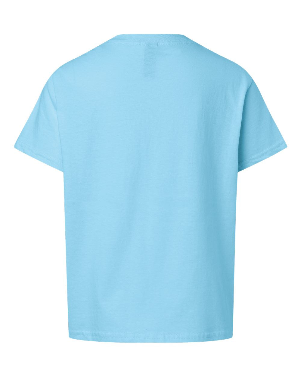 Rear View of Sky Light Cotton Youth T-Shirt - 3000B