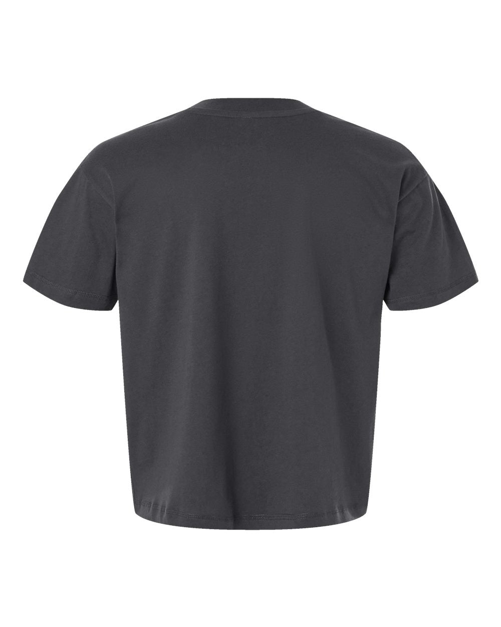 Rear View of Slate Relaxed Crew Tee - 3520