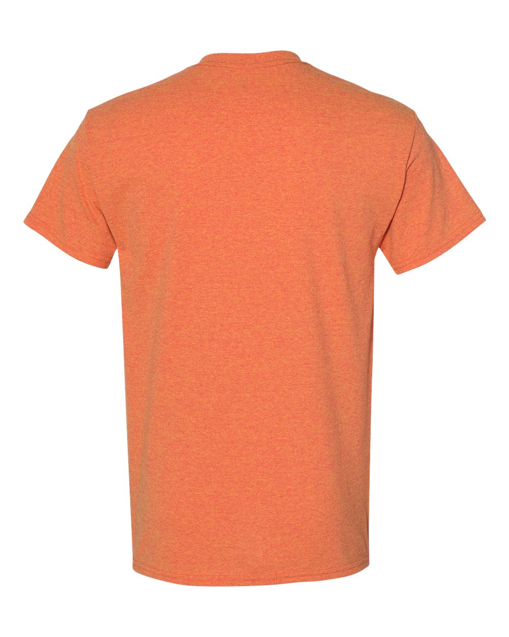 Rear View of Sunset Heavy Cotton™ T-Shirt - 5000