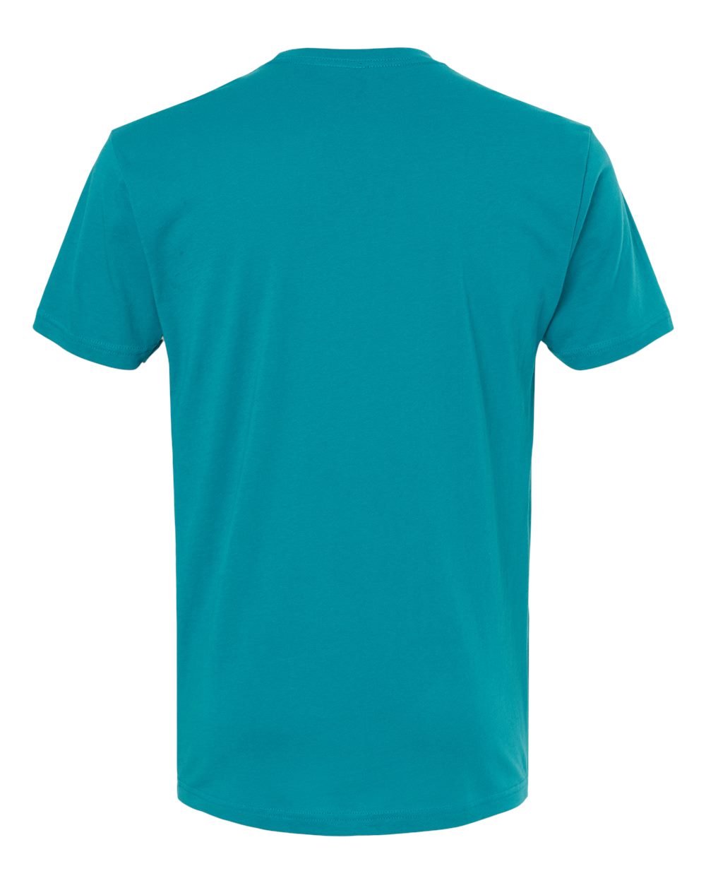 Rear View of Teal Cotton T-Shirt - 3600
