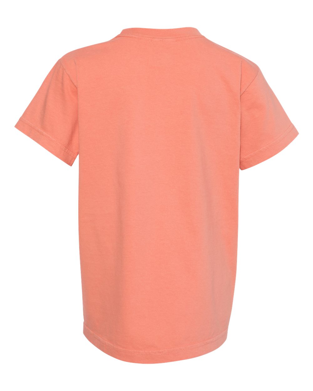 Rear View of Terracotta Garment-Dyed Youth Heavyweight T-Shirt - 9018