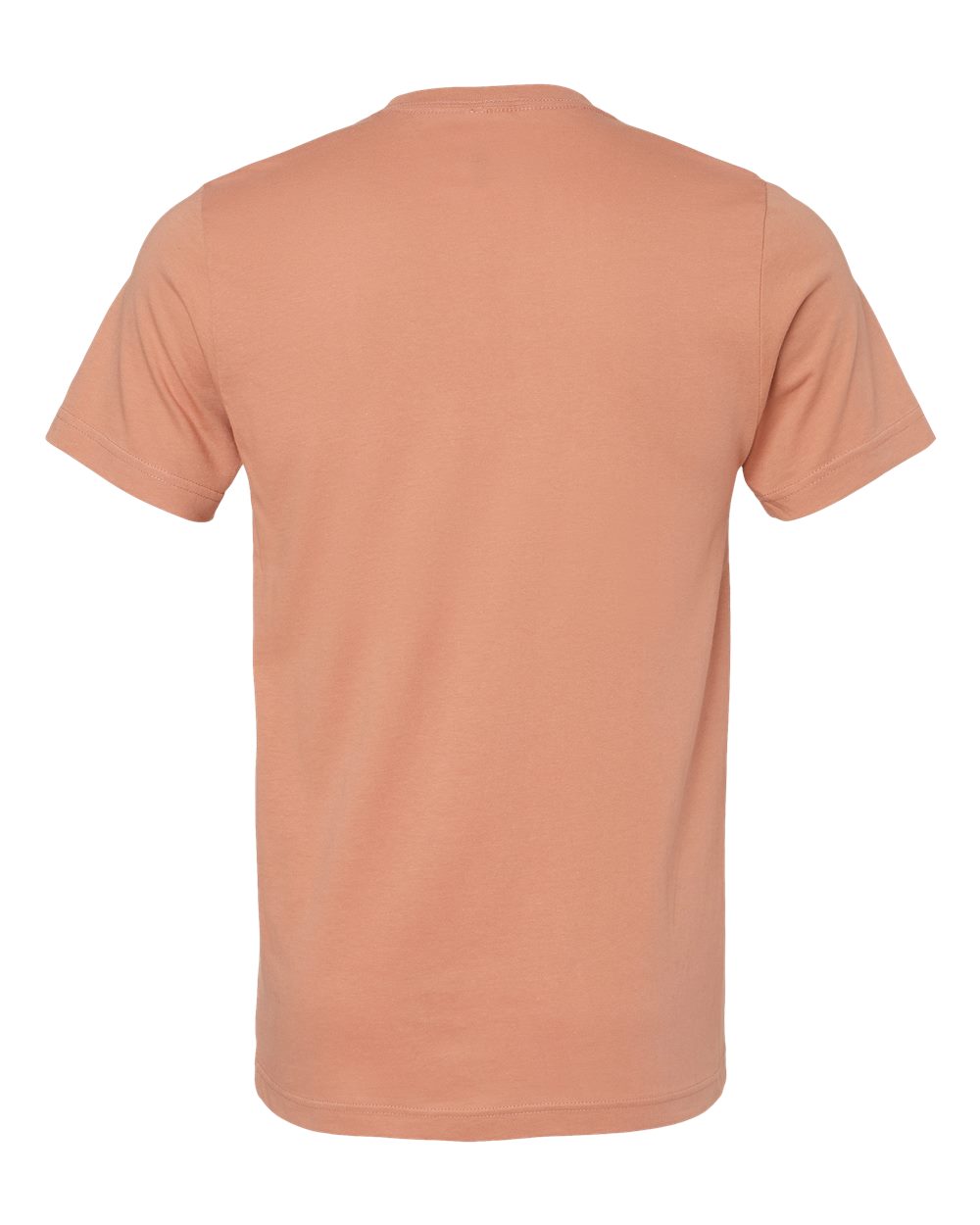 Rear View of Terracotta Jersey Tee - 3001